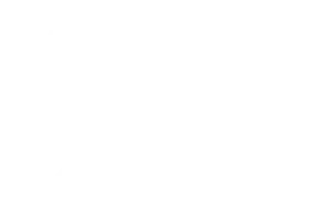 Vrøgum Taxi